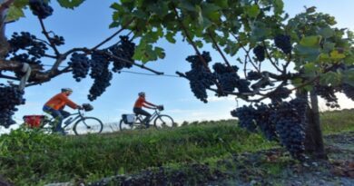 Vélo sur le canal des deux mers