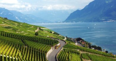 Lavaux, dans la région de Montreux Riviera, c'est le royaume des vignobles en terrasse.