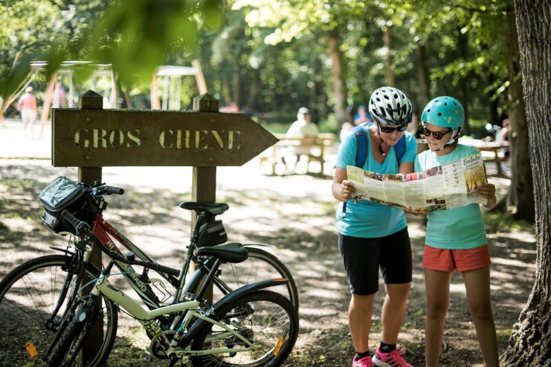 Vélo, canoë, moto, parapente… Une sélection d’offres « sport » en Alsace 1