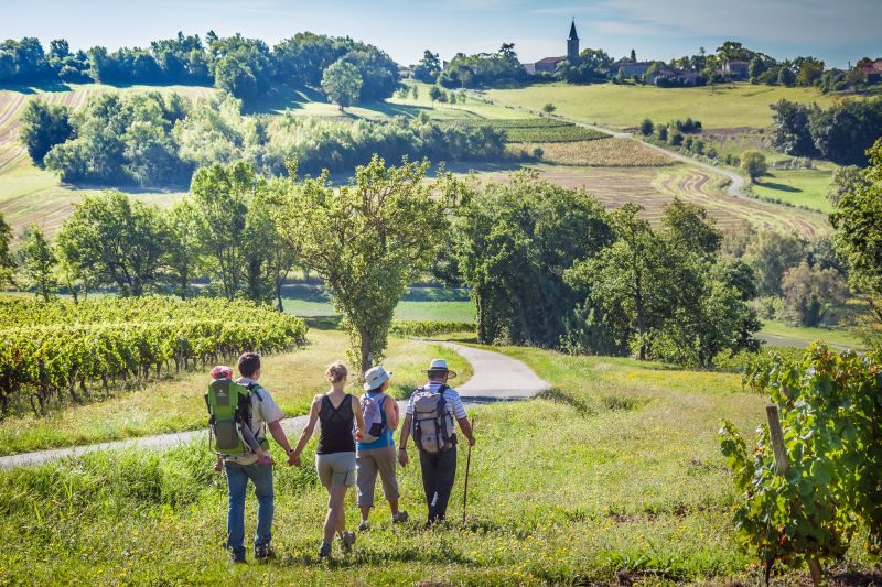 Tarn-vignoble