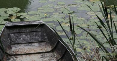 Marais Poitevin