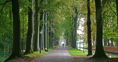 Tour de France. Etape 21. Les Yvelines, toujours au rendez-vous 12