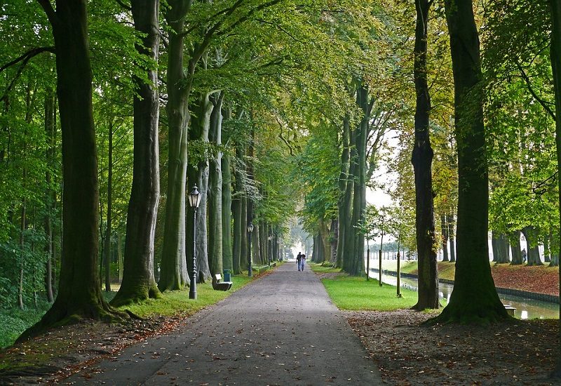 Château de Versailles, Yvelines