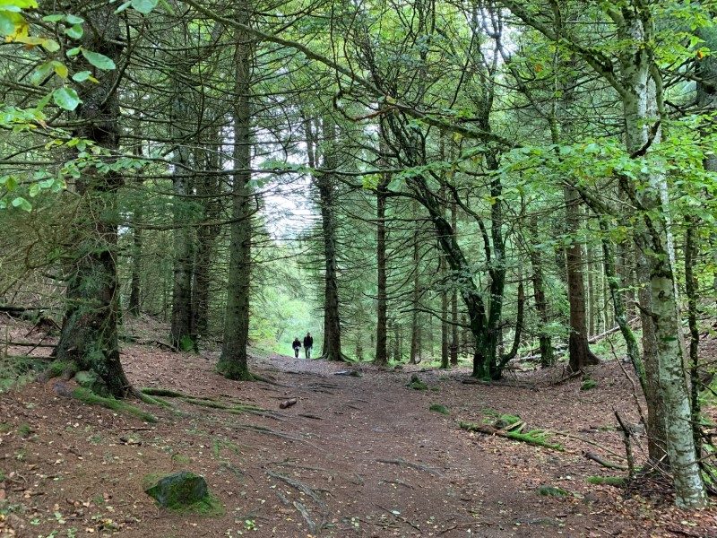 Voyage en Terra Volcana au cœur de l’Auvergne 3