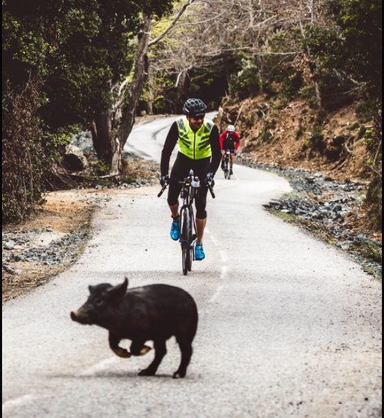 Et si vous vous lanciez dans l’ultra cyclisme avec BikingMan ? 3