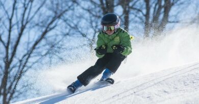 Ecole de ski français