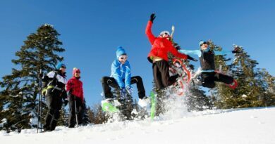 En Savoie, 112 stations de ski attendent "avec angoisse" la date d'ouverture 1