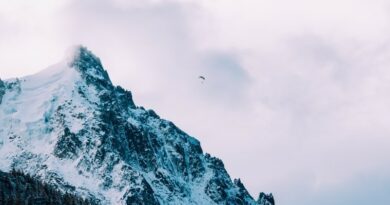 Avoriaz : tutoyer les choucas en parapente 9