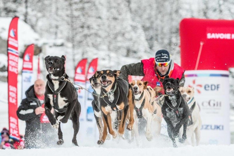 La Grande Odyssée Savoie Mont Blanc dans les starting blocks 2