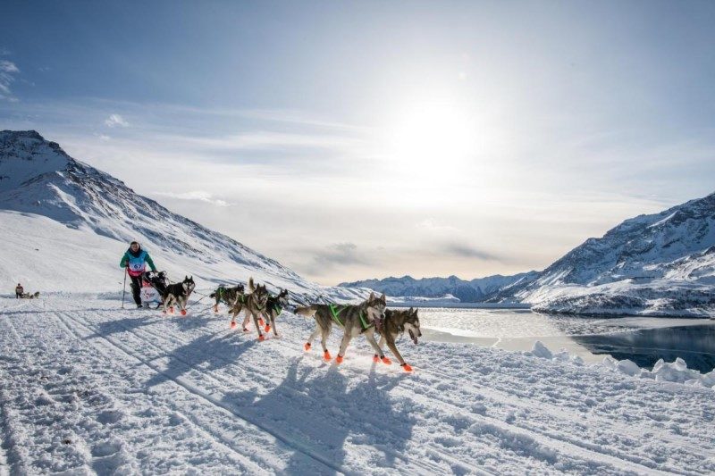 La Grande Odyssée Savoie Mont Blanc dans les starting blocks 1