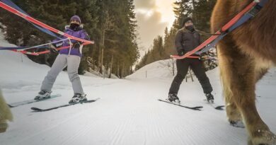 Montagne : quelles sont les activités autorisées dans le Jura ? 5