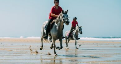 Cet été, on s’évade à cheval 3