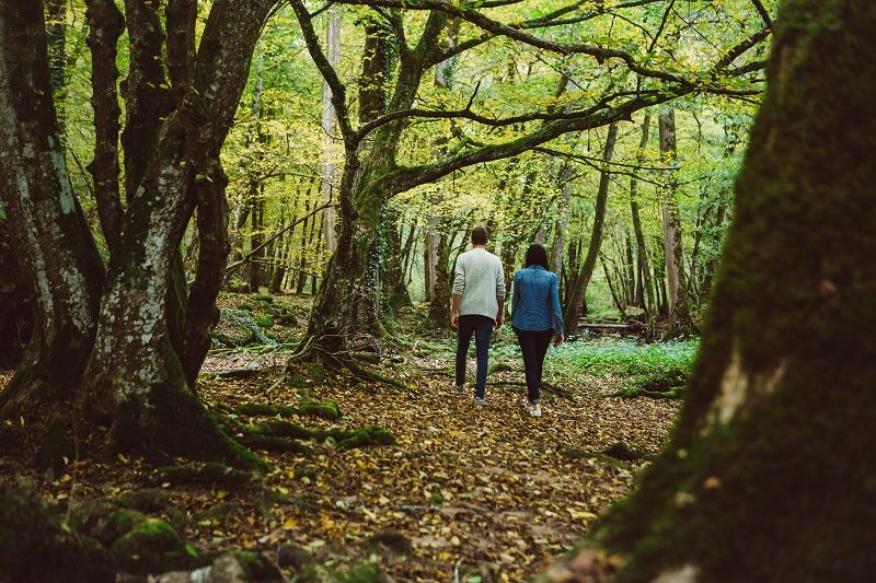 En Bourgogne, l'Yonne met en valeur ses offres "loisirs -nature" 2