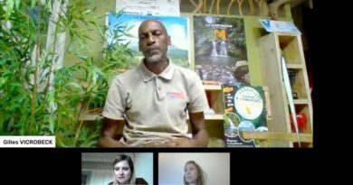 Rando en Martinique : de nouveaux parcours pour profiter de la générosité des paysages 1