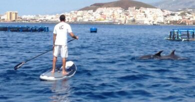 Quatre activités outdoor qui ont le vent en poupe à Tenerife 5