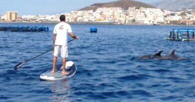 Quatre activités outdoor qui ont le vent en poupe à Tenerife 7