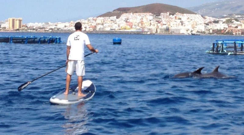 Quatre activités outdoor qui ont le vent en poupe à Tenerife 1