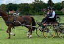 En Vallée de Chevreuse, le cheval au coeur d’activités de teambuilding