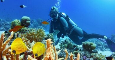 La Guadeloupe côté mer : cinq îles, cinq ambiances 3