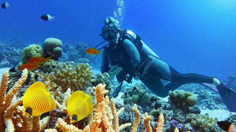 La Guadeloupe côté mer : cinq îles, cinq ambiances 1