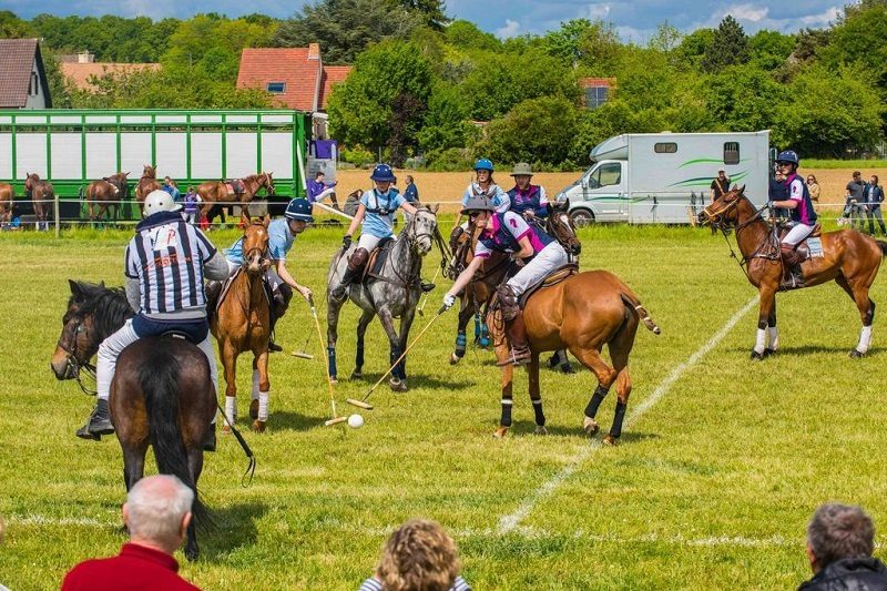 En Vallée de Chevreuse, le cheval au coeur d'activités de teambuilding 2