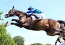 Sept rendez-vous pour découvrir les coulisses d’Auteuil, le « Temple de l’Obstacle »