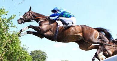 Sept rendez-vous pour découvrir les coulisses d'Auteuil, le "Temple de l'Obstacle" 2