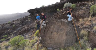 Aux Canaries, le "saut du berger" attire de plus en plus de pratiquants 3