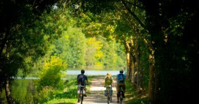 A découvrir, l'Orne, la Sarthe et le Maine-et-Loire, grâce à la Vélobuissonnière 6