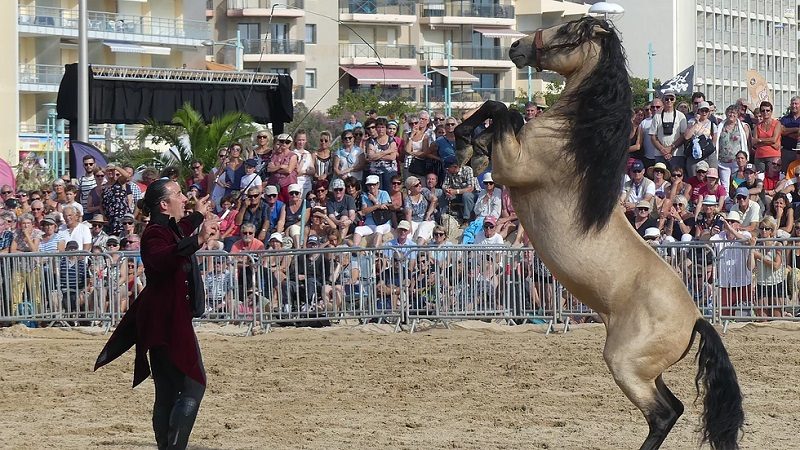 En Vendée, Saint-Jean-de-Monts place son été sous le signe du sport 2