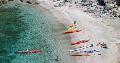 Dans le Var, l'île des Embiez joue la carte nature et sportive 6