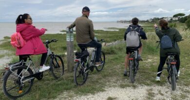 Canal des 2 Mers à vélo : musarder entre Bordeaux et Royan 6