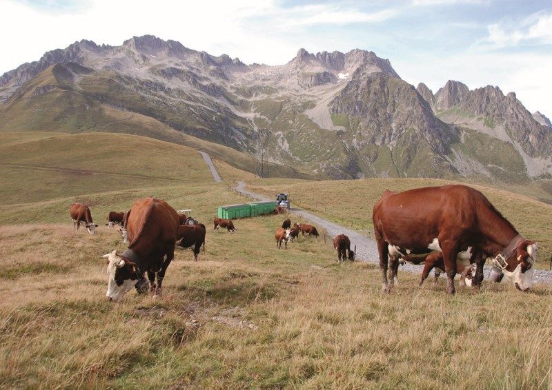 Mountain Collection 2021 : le 20 juillet, montée du col de la Madeleine 2