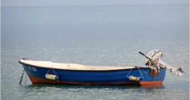 Quel moteur électrique choisir pour la pêche ? 3