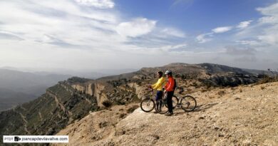 Place aux vacances actives sur la Costa Daurada 6