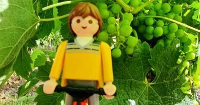 Tour de France, Etape 20. Au cœur des vignobles les plus prestigieux 1
