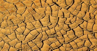 Dérèglement climatique : Combien de jours par an pourrons-nous courir en 2050 en France sans se mettre en danger ? 2