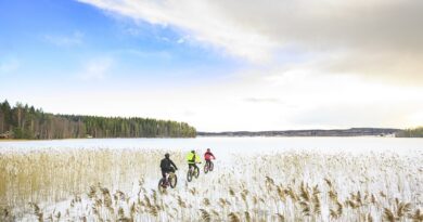 Avec Visit Jyväskylä Region, on part en Finlande à la rencontre d'une nature qui s'apprécie toute l'année 3