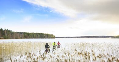 Avec Visit Jyväskylä Region, on part en Finlande à la rencontre d'une nature qui s'apprécie toute l'année 5