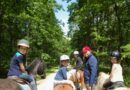 Les « Journées du cheval » battent leur plein