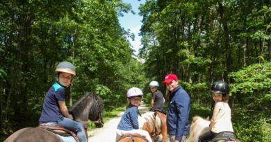 Les "Journées du cheval" battent leur plein 4