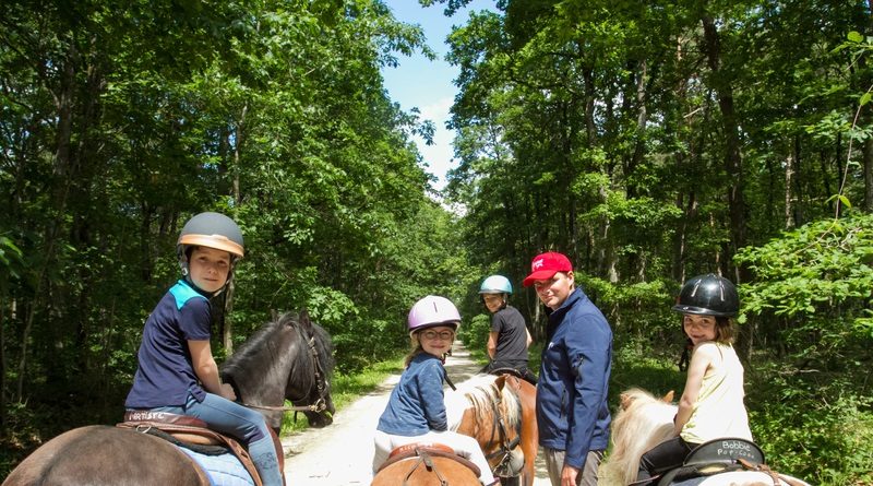 Journées du cheval