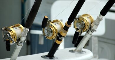 Quel moulinet pour la pêche en mer ? 5