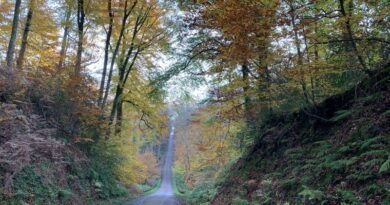 Au Pays du Mans, on sait aussi prendre son temps 9