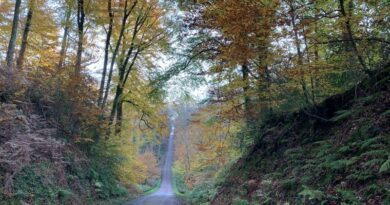 Au Pays du Mans, on sait aussi prendre son temps 5