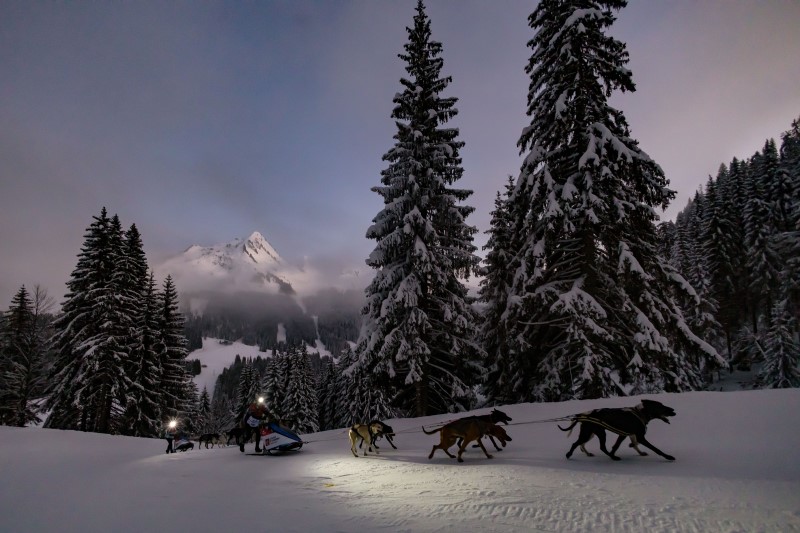 En Images. Retour de la neige et chiens de traîneaux, retrouvez les plus  belles photos de la Grande Odyssée