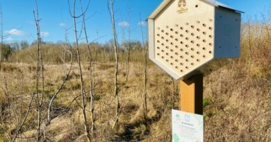 Golf : Bluegreen pense aux abeilles pour protéger l’environnement 1