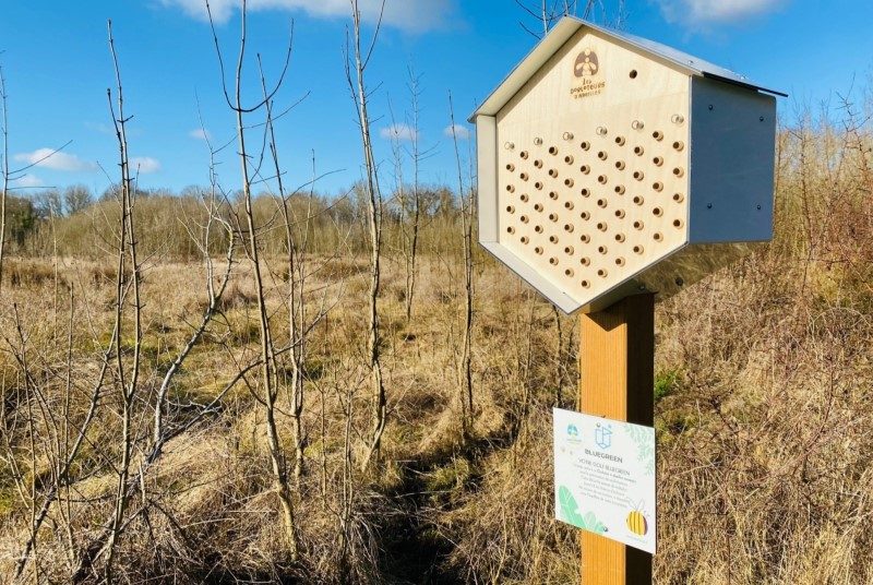 Golf : Bluegreen pense aux abeilles pour protéger l’environnement 1