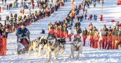 Au royaume de La Grande Odyssée, les chiens sont rois 6