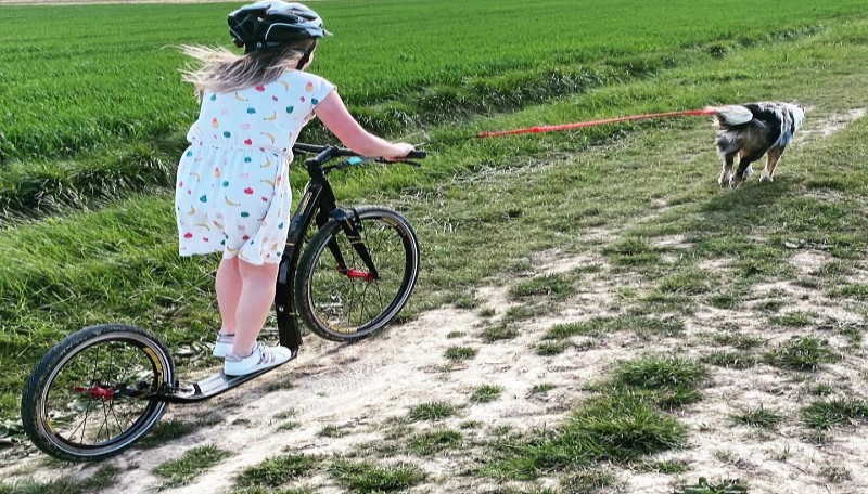 Et si vous vous laissiez tenter par la cani-trottinette ? 1